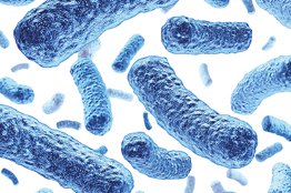 Microbiology